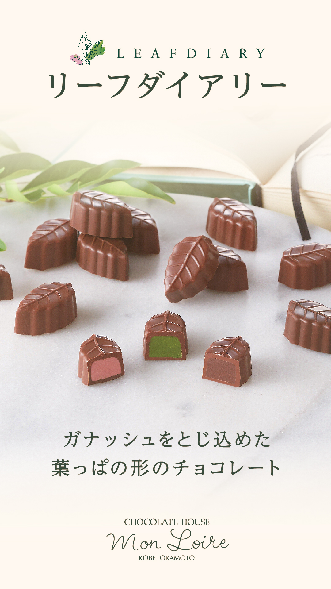 【モンロワール】リーフダイアリー